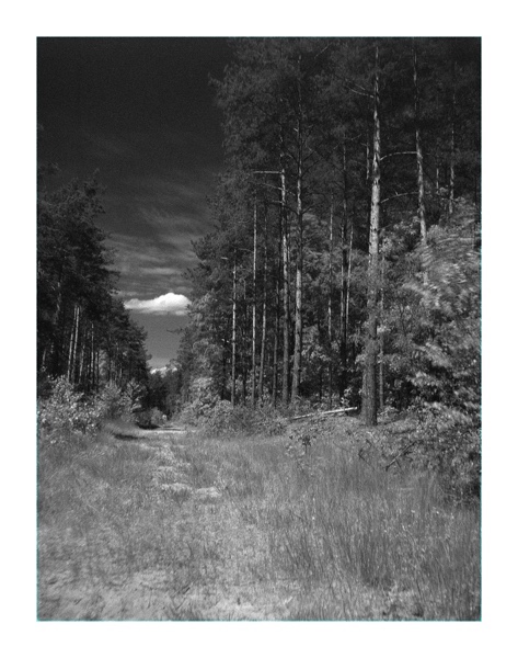 obrazek przez filtr IR720