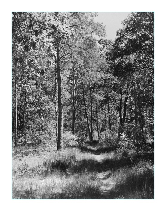 obrazek przez filtr pomarańczowy